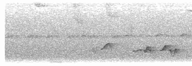 Серогрудый крапивник (bangsi) - ML542107351