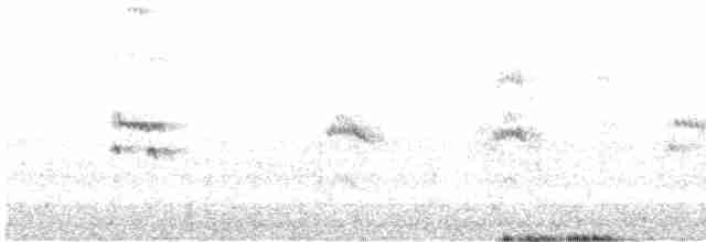White-winged Tern - ML542143311