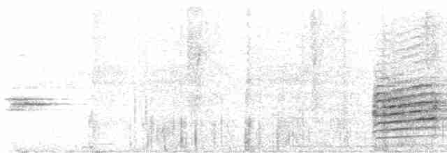 Turuncu Gagalı Bülbül Ardıcı - ML542164251