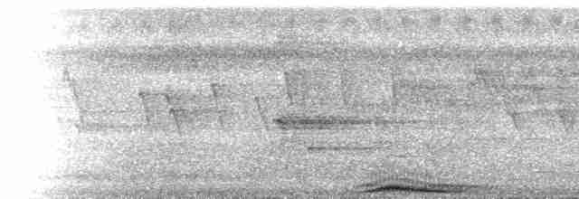  - Nicobar Imperial-Pigeon