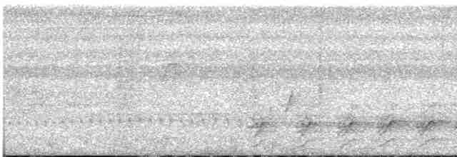 Black-tailed Antbird - ML542280201