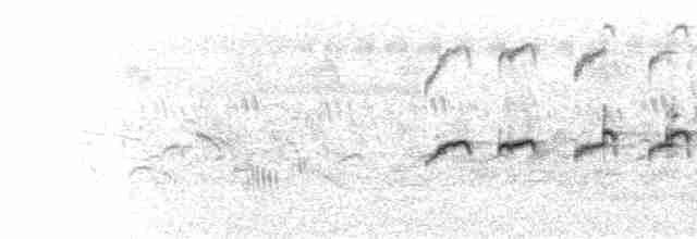  - Bronze-winged Jacana