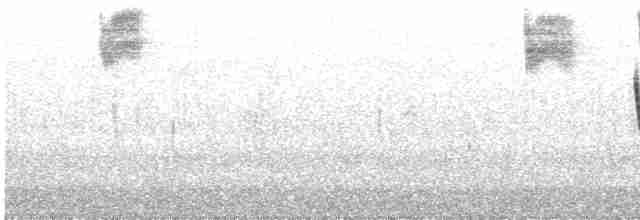 Бруант рудошиїй (підвид australis) - ML542424541