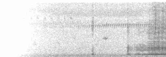  - Eastern Cattle-Egret