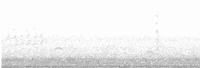 Рибалочка-чубань неотропічний (підвид stellata) - ML542446951
