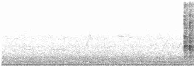 rybařík obojkový (ssp. stellata) - ML542450371