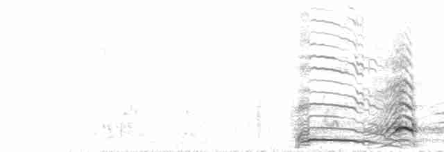  - Gray-headed Fish-Eagle