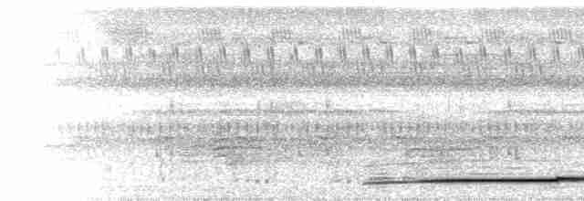  - Spot-bellied Eagle-Owl