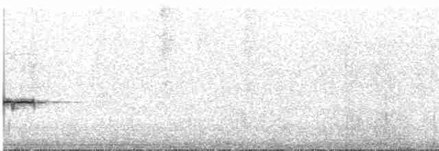 Дрізд-короткодзьоб сірий - ML542489631