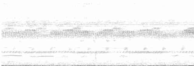 Short-tailed Akalat (Bioko) - ML542521541