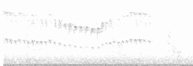Fork-tailed Sunbird - ML542563281
