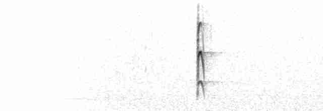  - Brown-fronted Woodpecker