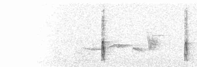  - Darjeeling Woodpecker