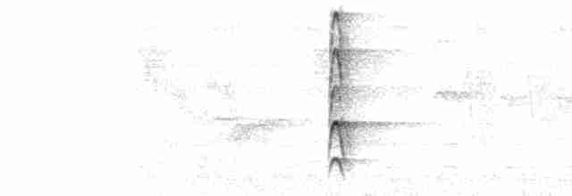  - Streak-throated Woodpecker