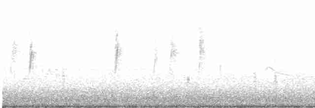 Calliope Hummingbird - ML542671491