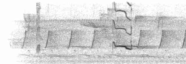  - Gray-lored Broadbill