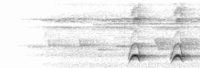  - Western Hooded Pitta (Chestnut-crowned)