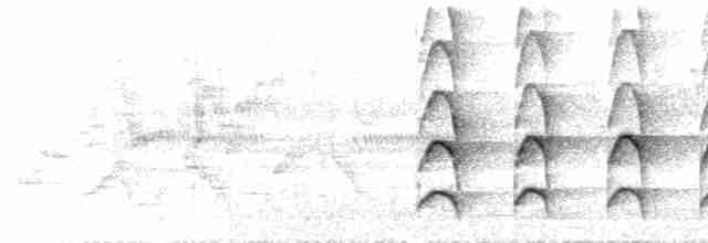  - Black-billed Treehunter