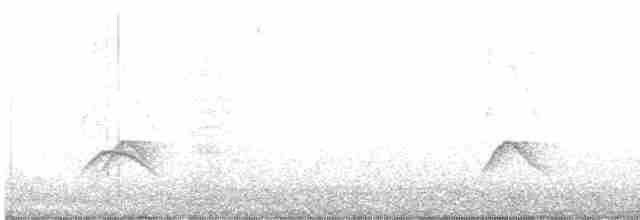 Weißkronen-Olivtyrann - ML542804971