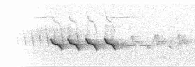  - Green Shrike-Babbler (Black-crowned)