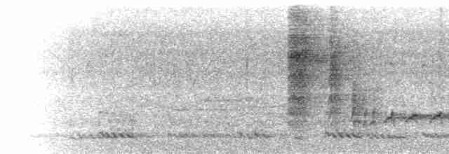  - Malabar Woodshrike