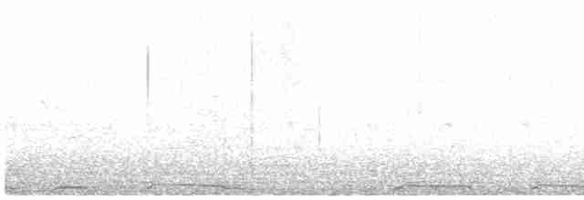 Белошейная веерохвостка - ML542952211