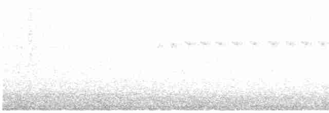 langhaleskredderfugl - ML542952401