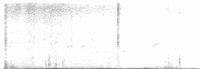Cygne siffleur - ML542971991