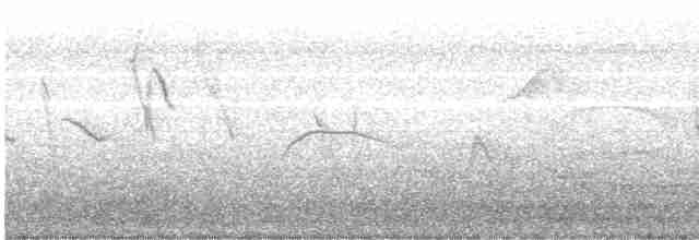 Пароарія жовтодзьоба - ML543010921