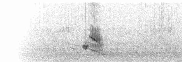  - Rufous-tailed Lark