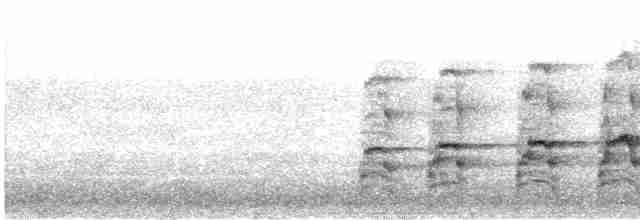 Белоголовый орлан - ML543081481