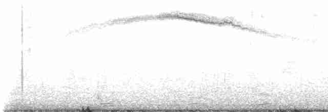 Veilchenkopfelfe - ML543085211
