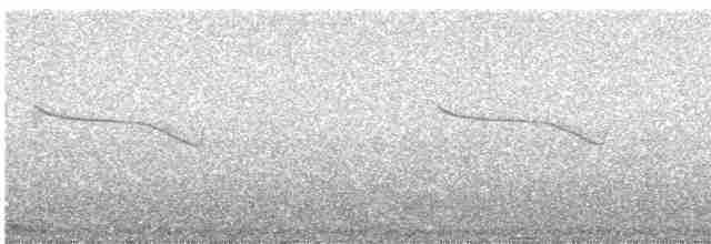 Breitspiegel-Nachtschwalbe - ML543100471