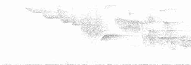 Серый тиранн-плакса - ML543126791