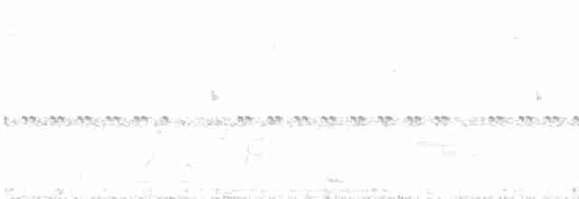 Mascarita Equinoccial (velata) - ML543127151