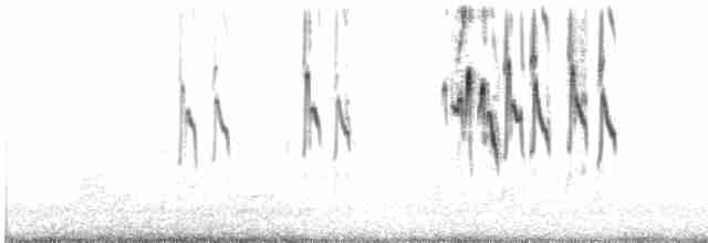 White-bridled Finch (Fuegian) - ML543145531