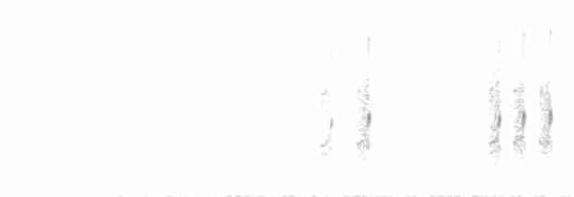  - West Himalayan Bush Warbler