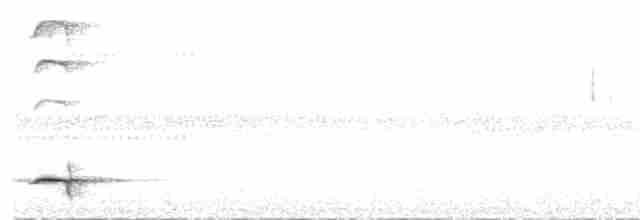 Al Beyaz Yerçavuşu - ML543212981