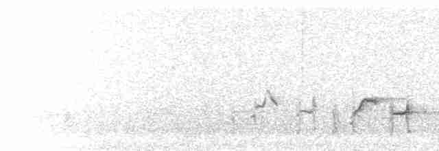  - Black-fronted Bulbul