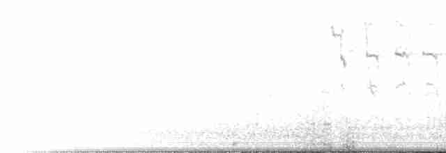 Isabellstreifen-Meisenschlüpfer - ML543276661
