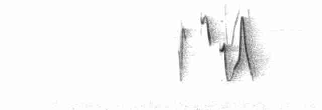  - Tytler's Leaf Warbler