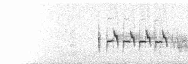  - Sulphur-bellied Warbler