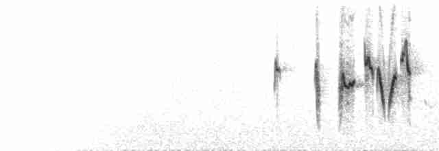  - Plain Leaf Warbler