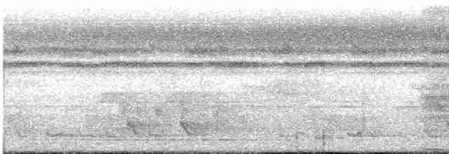 Bornean Ground-Cuckoo - ML543362991