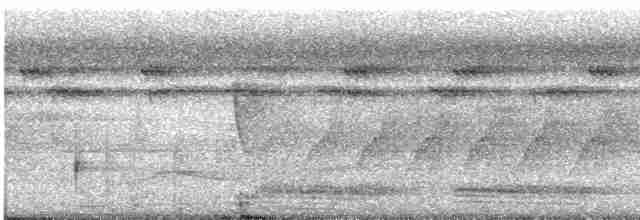 Bornean Ground-Cuckoo - ML543365871