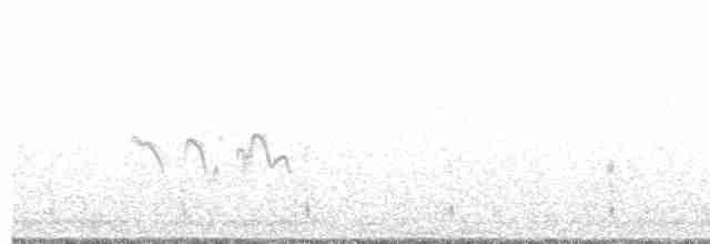 Red-legged Partridge - ML543366741