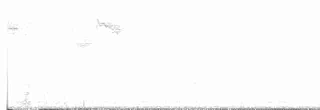 Красноплечий канюк - ML543369201