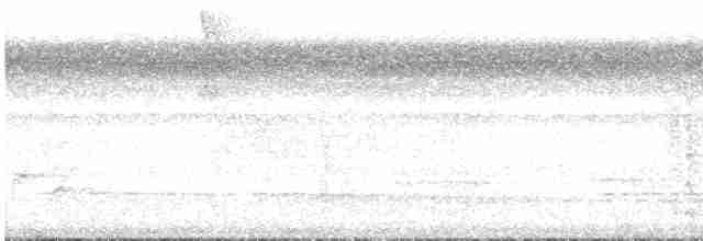 Conirostre marguerite - ML543384941