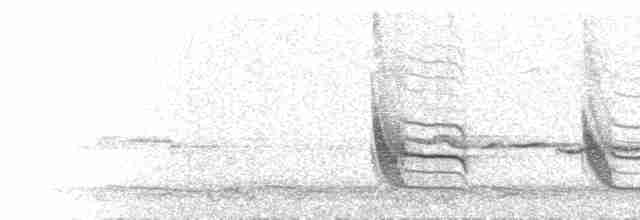  - White-breasted Parrotbill