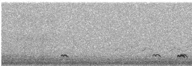 Northern Pintail - ML543456661